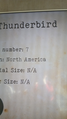 temp 1771063216074.jpg