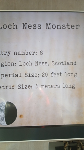temp 1771063250278.jpg