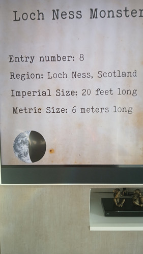 temp 1771063258218.jpg