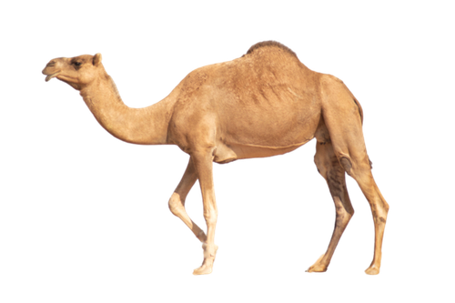 image 157803 1696694343.png