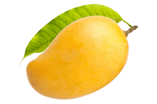 mango fruit tropical transparent png.png