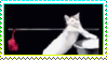 dhm51e9 19a77422 95c2 4b1f 92fd 2a25c9fd60dc.gif