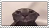 009 silly cat stamp by cymryc dgfgam8 fullview.png