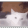 dgfgbby 3ea149ce a8ca 4f68 b3d4 1c2ecf9f97a1.gif