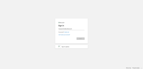 2026 02 13T20 50 04 061Z OFFICE email entered password.png