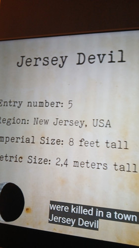 temp 1771016353971.jpg