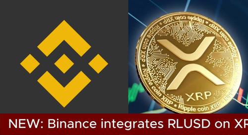 XLnndfCW9c hB94 .jpg