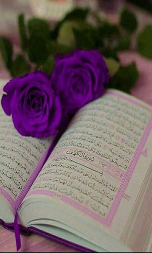 HA 3H1QbsAcFG20?format=jpg.jpg