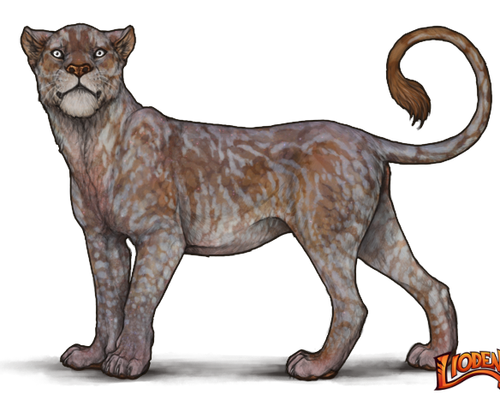 lioden wardrobe (10).png