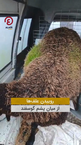 a5wZXchPSWL Ai0u.jpg