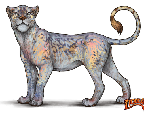 lioden wardrobe (11).png