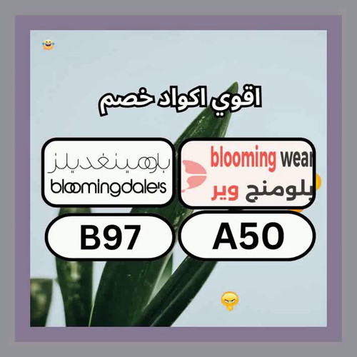 Yx1mZv6ZkedeVt8m.jpg