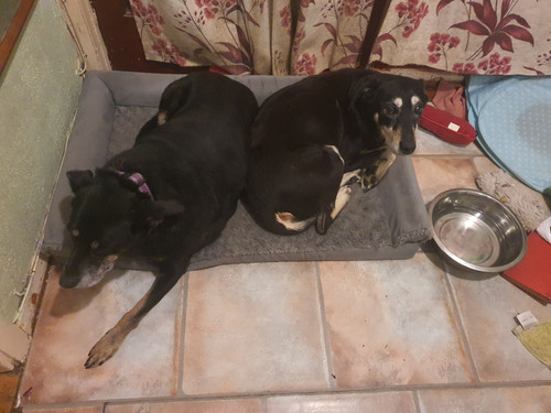 20260214 020914.jpg