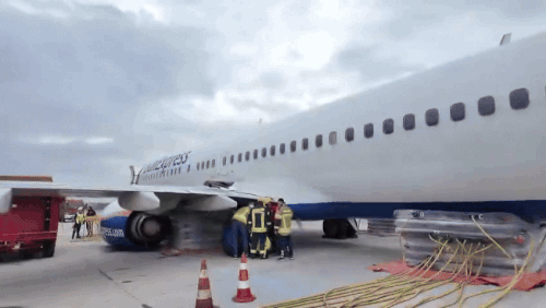 TC ezgif.com video to gif converter.gif