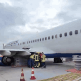 TC ezgif.com video to gif converter