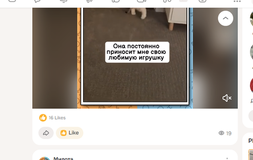 Screenshot 8.png