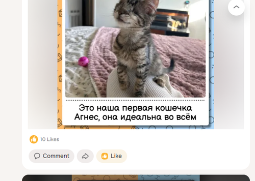 Screenshot 7.png