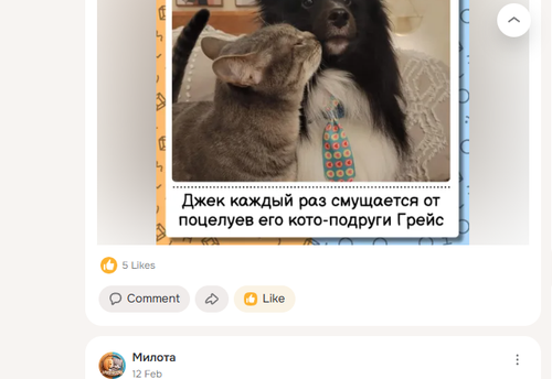 Screenshot 11.png