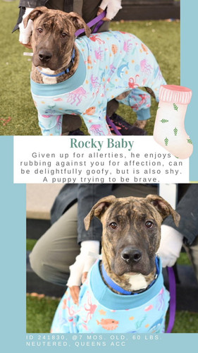 G 4RyCUbUAAJhqr?format=jpg.jpg