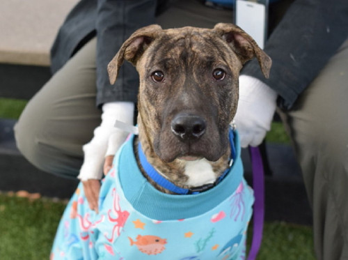 HA kj6qbUAAfCpm?format=jpg.jpg