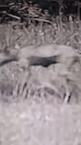 temp 1771007121179.jpg