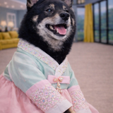 한복 입고있는 레오2.png