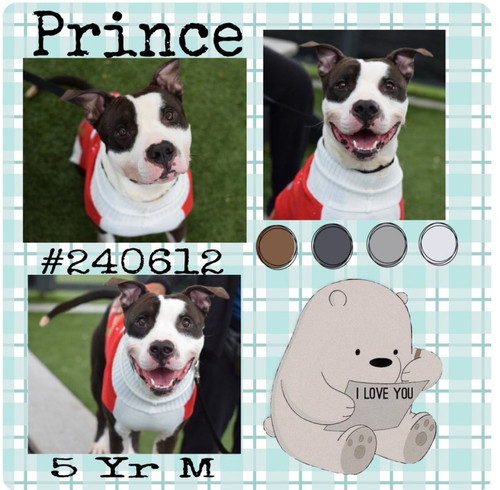 G9hxwW XgAADePM?format=jpg.jpg