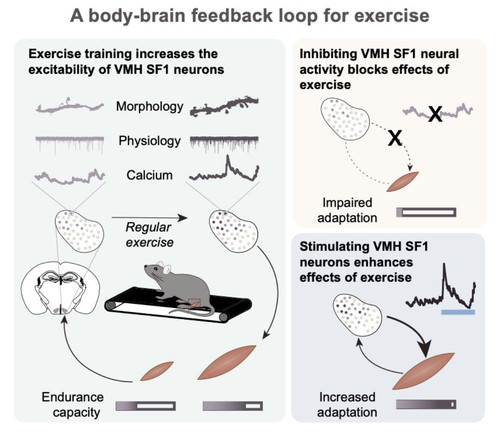 HBCrZOXbUAA tvv?format=jpg.jpg
