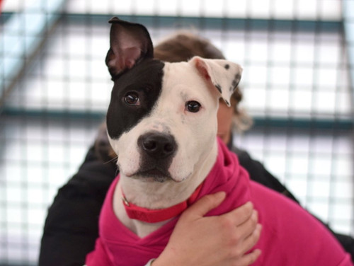 HA13 n4aAAE4JLm?format=jpg.jpg