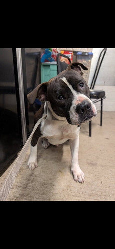 HA2d IlaAAIQasQ?format=jpg.jpg