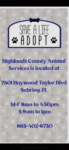 HA2d H2XIAAiAcY?format=jpg.jpg