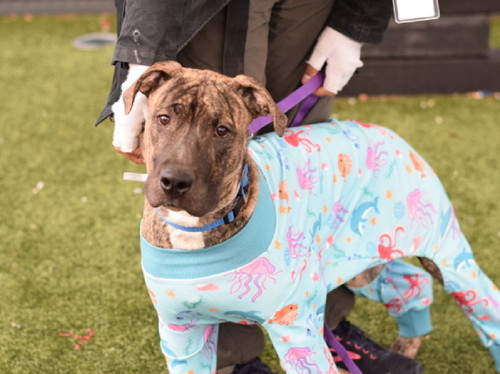 HA kcX6bkAAY3vD?format=jpg.jpg