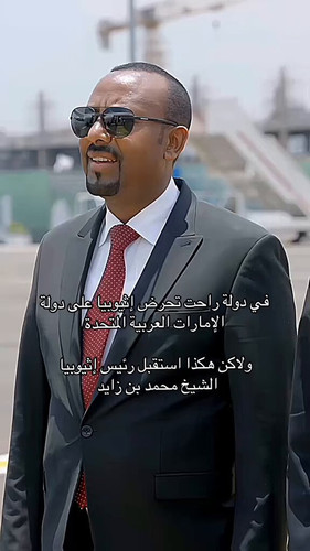 coo8Ou7o32zE Sy2.jpg