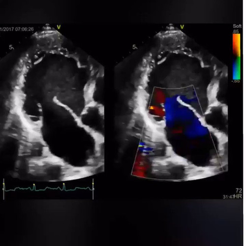 aYrdaiwl TRaFTmK.jpg