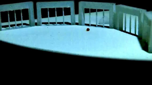 JuYKtbihm1BS31I .jpg