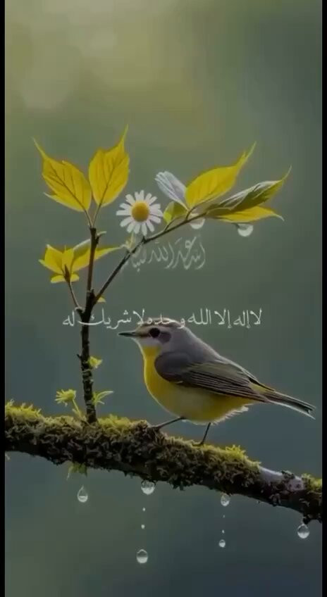 IZa1kKgBujWBgTv .jpg