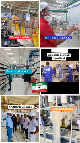 8rEBEBnpzi0IzK C.jpg