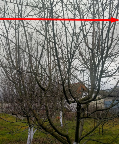 screenshot 2026 02 13 22 01 58 001.png