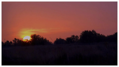 egPCy3nkd iDCnD1.jpg