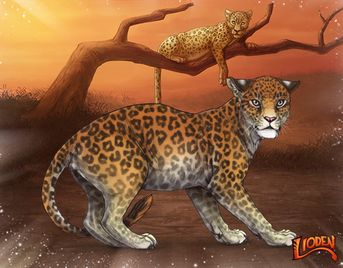 lion 794255316852.png