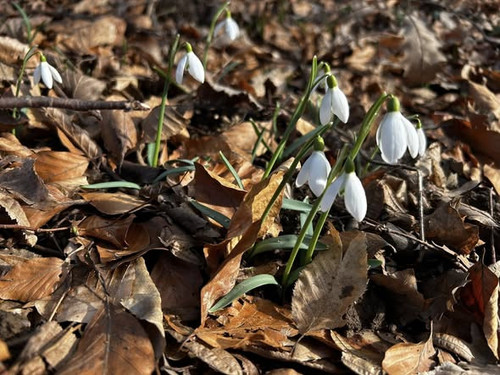 633858771 1530781542188390 8717931369937984988 n.jpg?stp=cp6 dst jpg s590x590 tt6& nc cat=101&ccb=1 .jpg