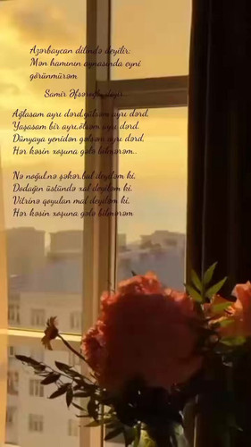 s0EcEuLWFr5e Qv4.1