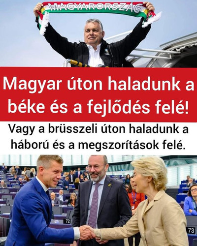 HBCQov8WkAAe Oj.1