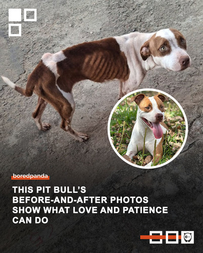 Community Share (9).jpg