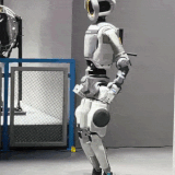 aqyw9LY 460sv.gif