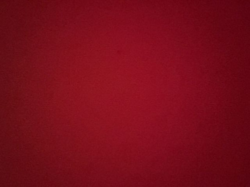 48d00c3e8351.jpg