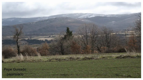 owHPQzZQKQc dezb.jpg