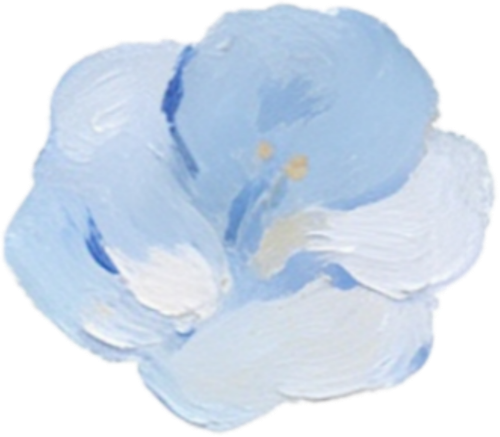 1000024978.png