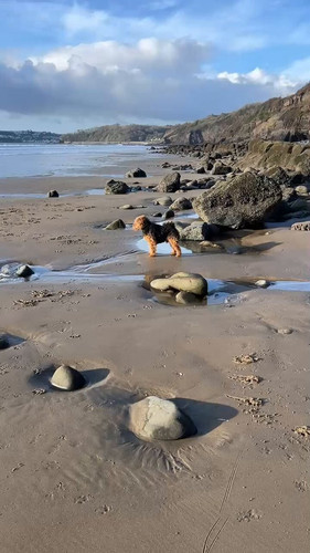 LHFhxx5iCHfUzRq .jpg