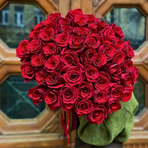 A bunch of Explorer Roses with a rich red color.jpg